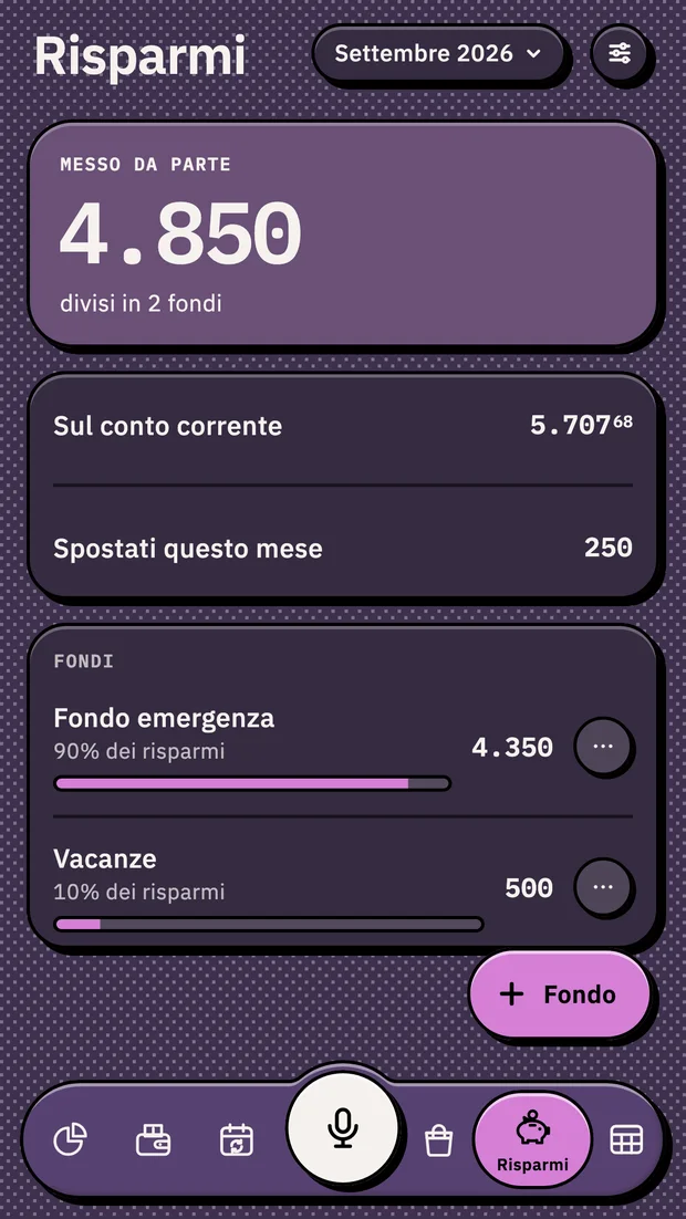 Risparmi divisi in fondi